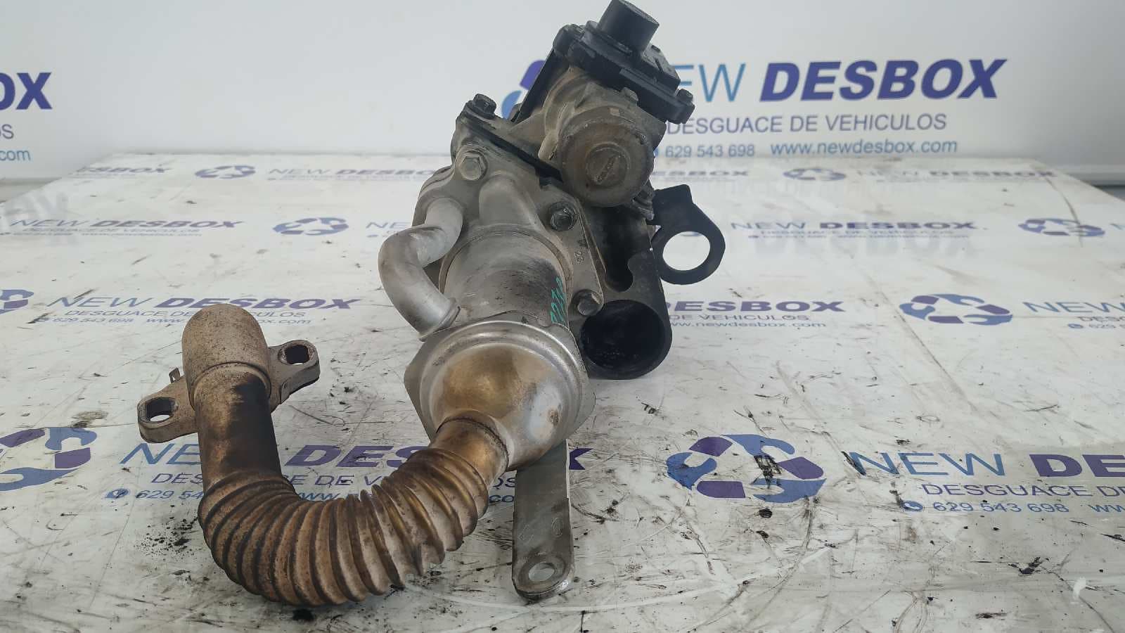 Recambio de VALVULA EGR para RENAULT KANGOO (F/KC0) K9KV7 referencia OEM IAM 8200337841   - BLANCO 2