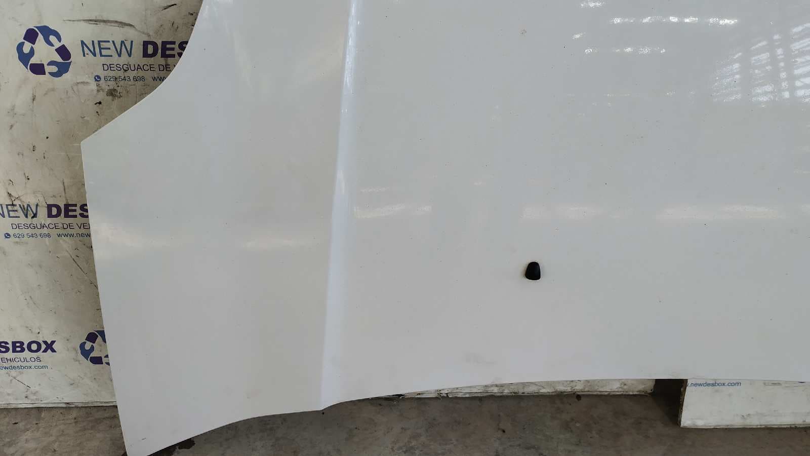 Recambio de CAPO para HYUNDAI H 1 D4BH referencia OEM IAM    - BLANCO 7