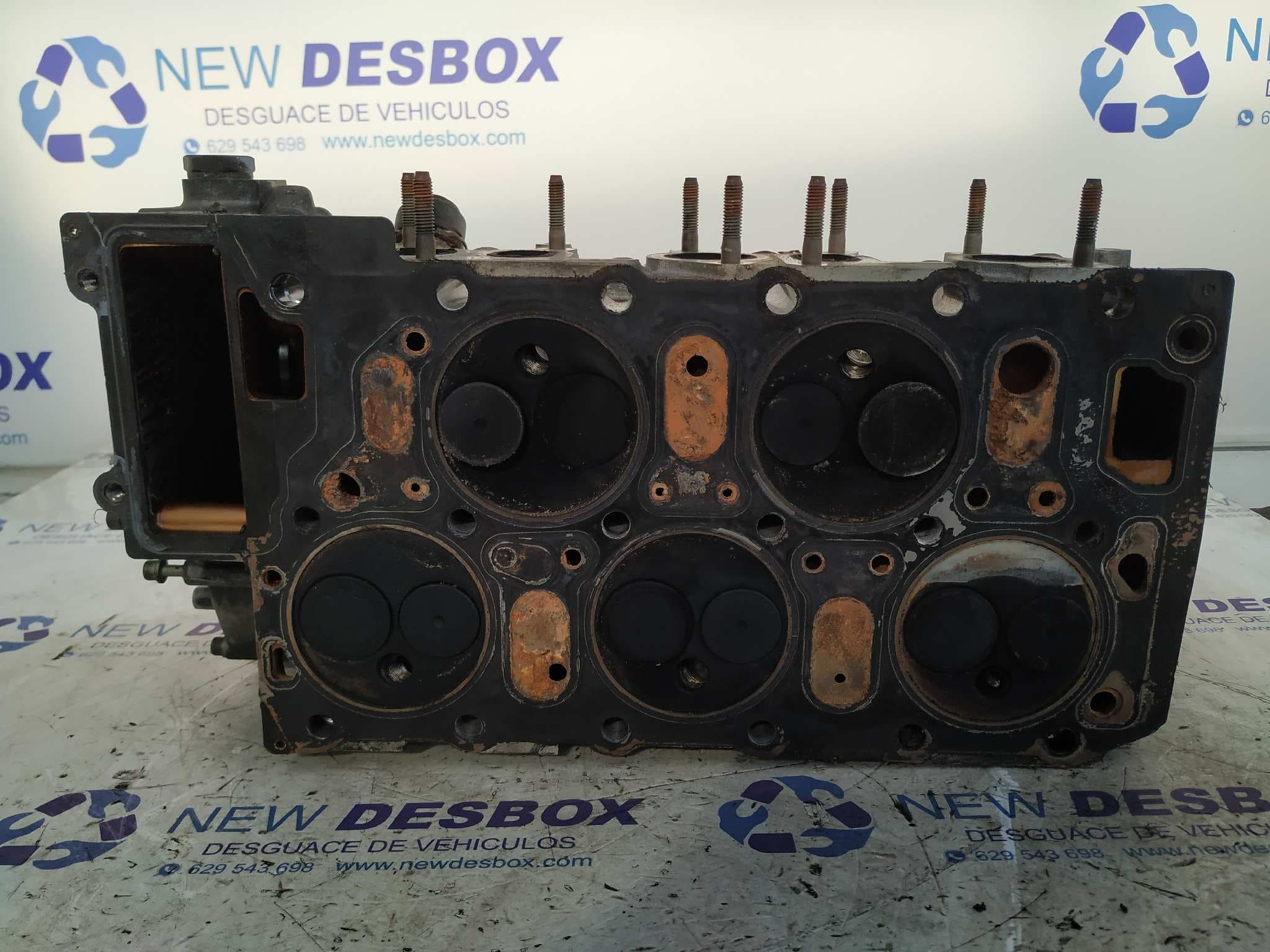 Recambio de CULATA para VOLKSWAGEN GOLF IV BERLINA (1J1) AGZ referencia OEM IAM 071103373 9