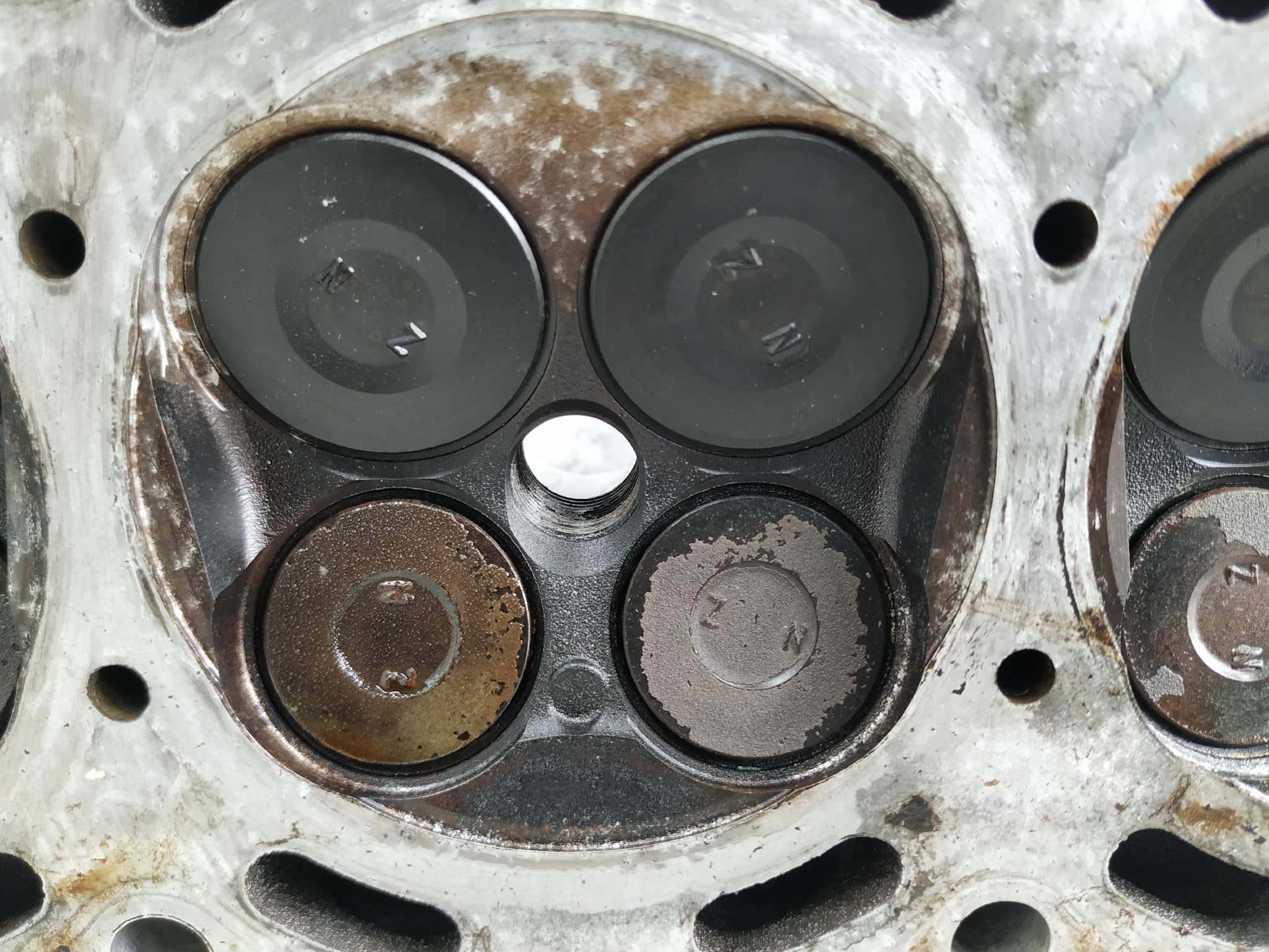 Recambio de CULATA para TOYOTA YARIS (NCP1/NLP1/SCP1) 1.3 16V CAT 2NZ-FE     referencia OEM IAM NZ31   - GRIS 9