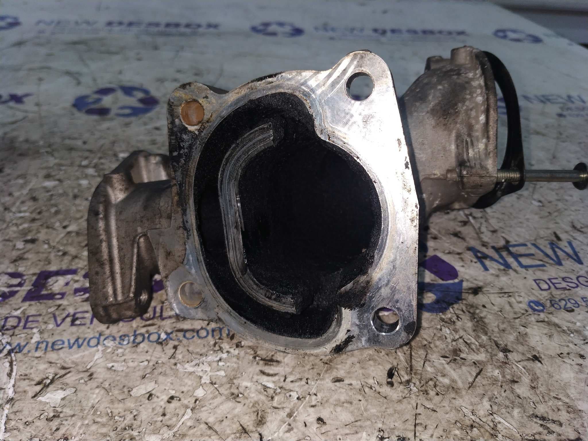 Recambio de VALVULA EGR para FIAT DUCATO CAJA CERRADO 30 (06.2006=>) 2.2 JTD CAT F1AE0481D referencia OEM IAM F1AE0481D   - BLANCO 4