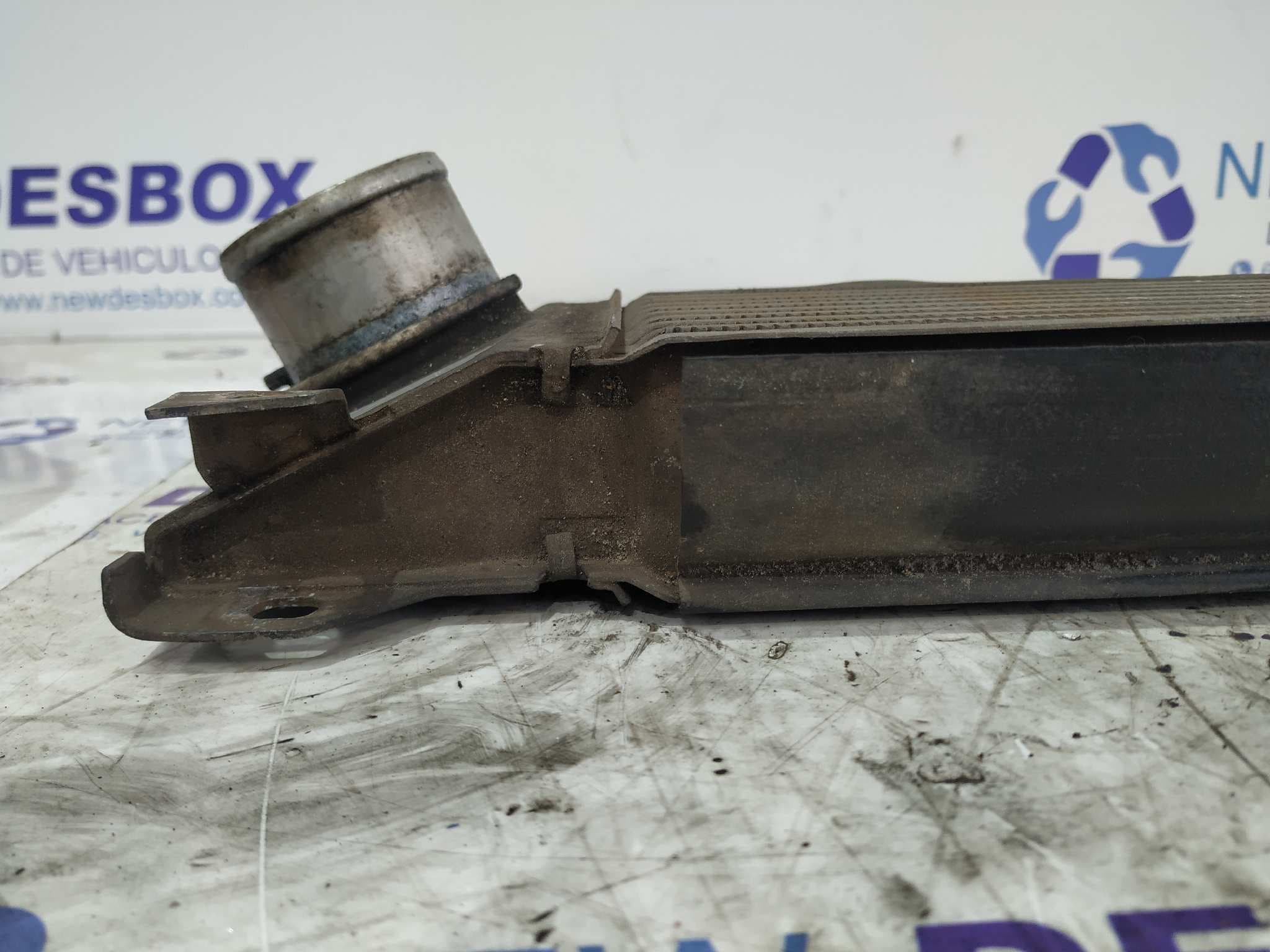 Recambio de INTERCOOLER para FIAT DUCATO CAJA CERRADO 30 (06.2006=>) 2.2 JTD CAT F1AE0481D referencia OEM IAM    - BLANCO 3