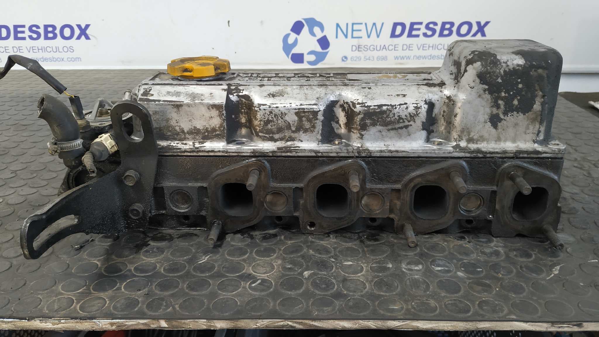 Recambio de CULATA para NISSAN CABSTAR E BD30 referencia OEM IAM 69T42