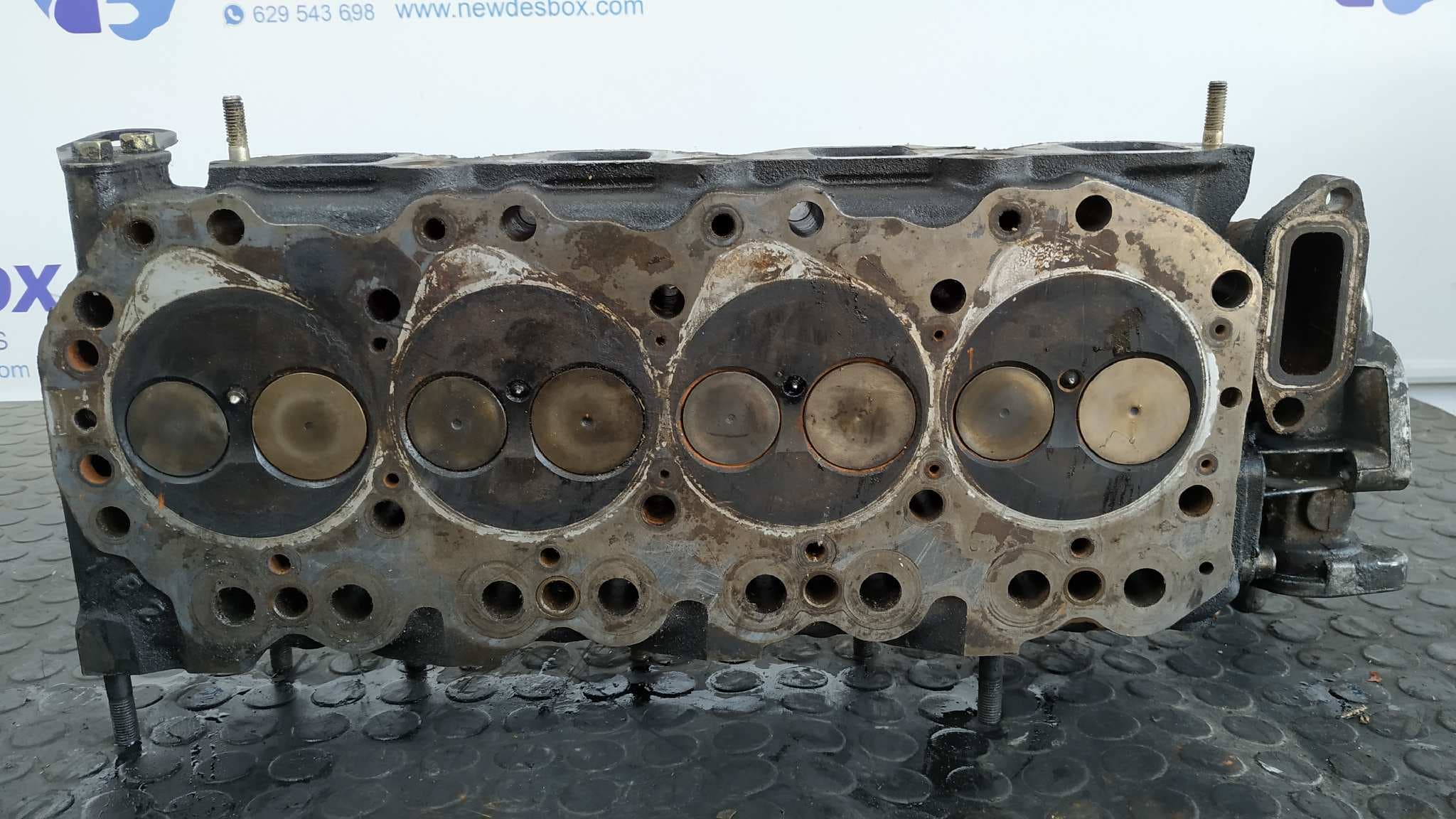 Recambio de CULATA para NISSAN CABSTAR E BD30D referencia OEM IAM 69T42 9