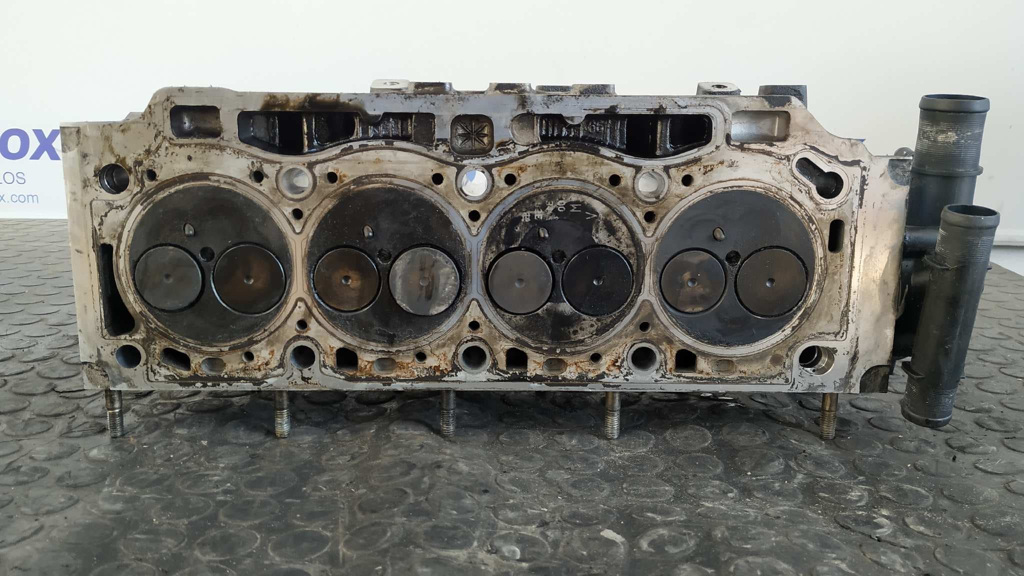 Recambio de CULATA para RENAULT SCENIC II F9Q referencia OEM IAM F9S05 8