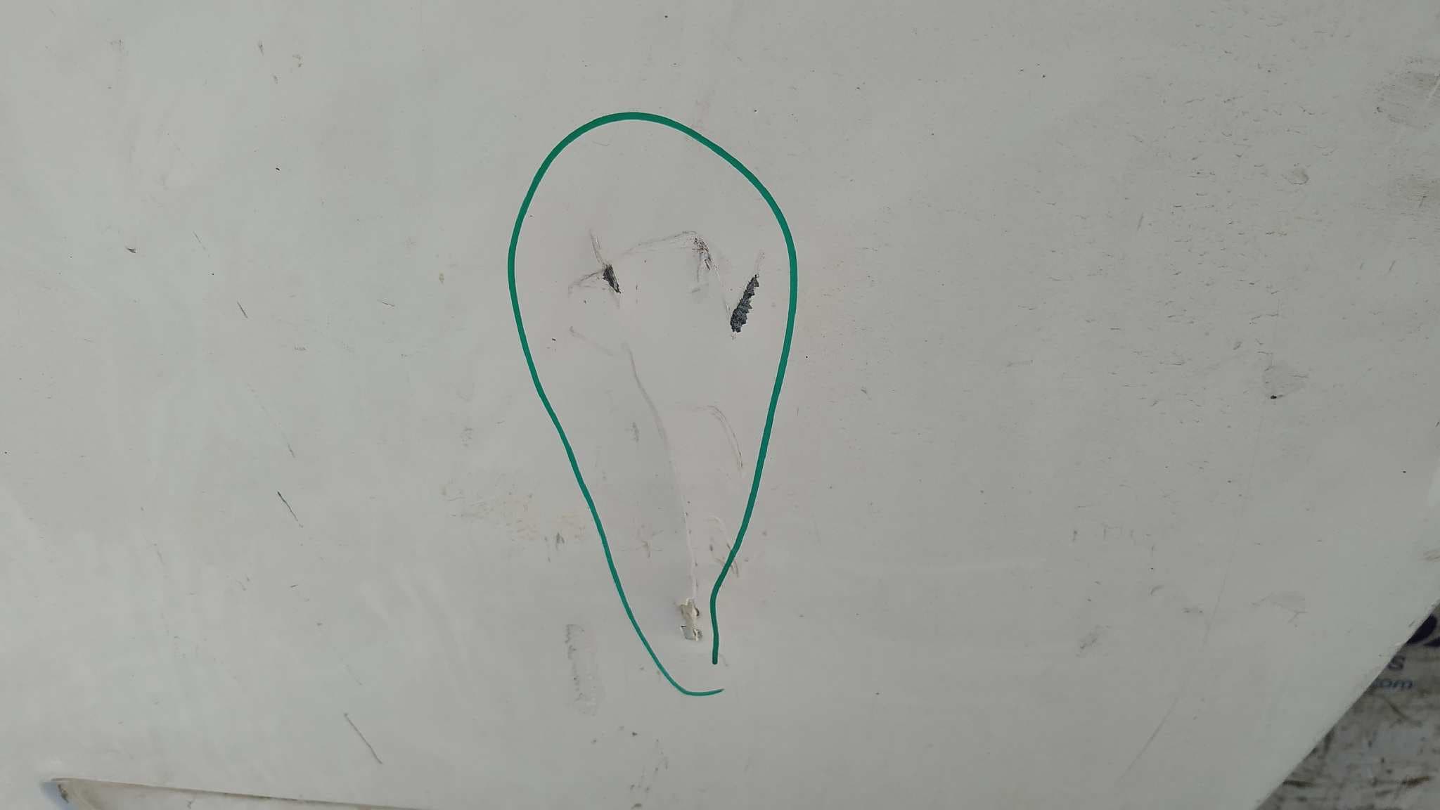 Recambio de PUERTA DELANTERA IZQUIERDA para FIAT DUCATO CAJA CERRADO 30 (06.2006=>) 2.2 JTD CAT F1AE0481D referencia OEM IAM    - BLANCO 8