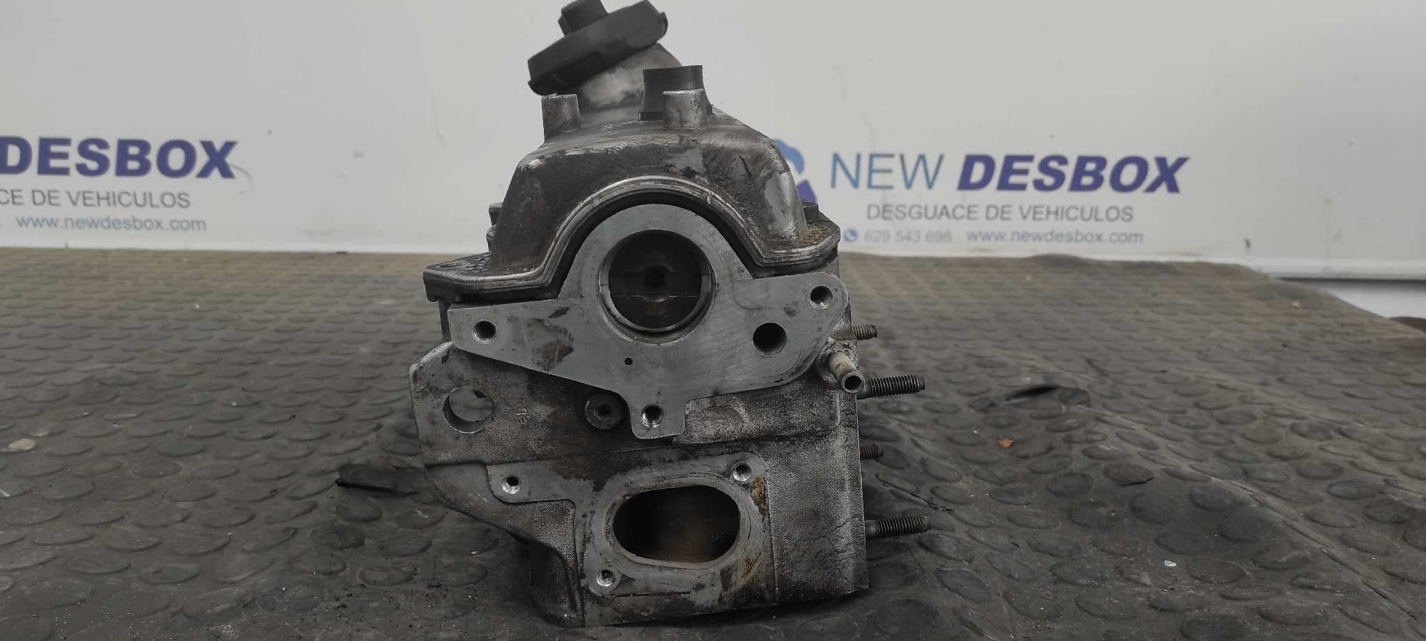 Recambio de CULATA para SEAT IBIZA (6K1) AGP referencia OEM IAM 038103373E    - AZUL 2