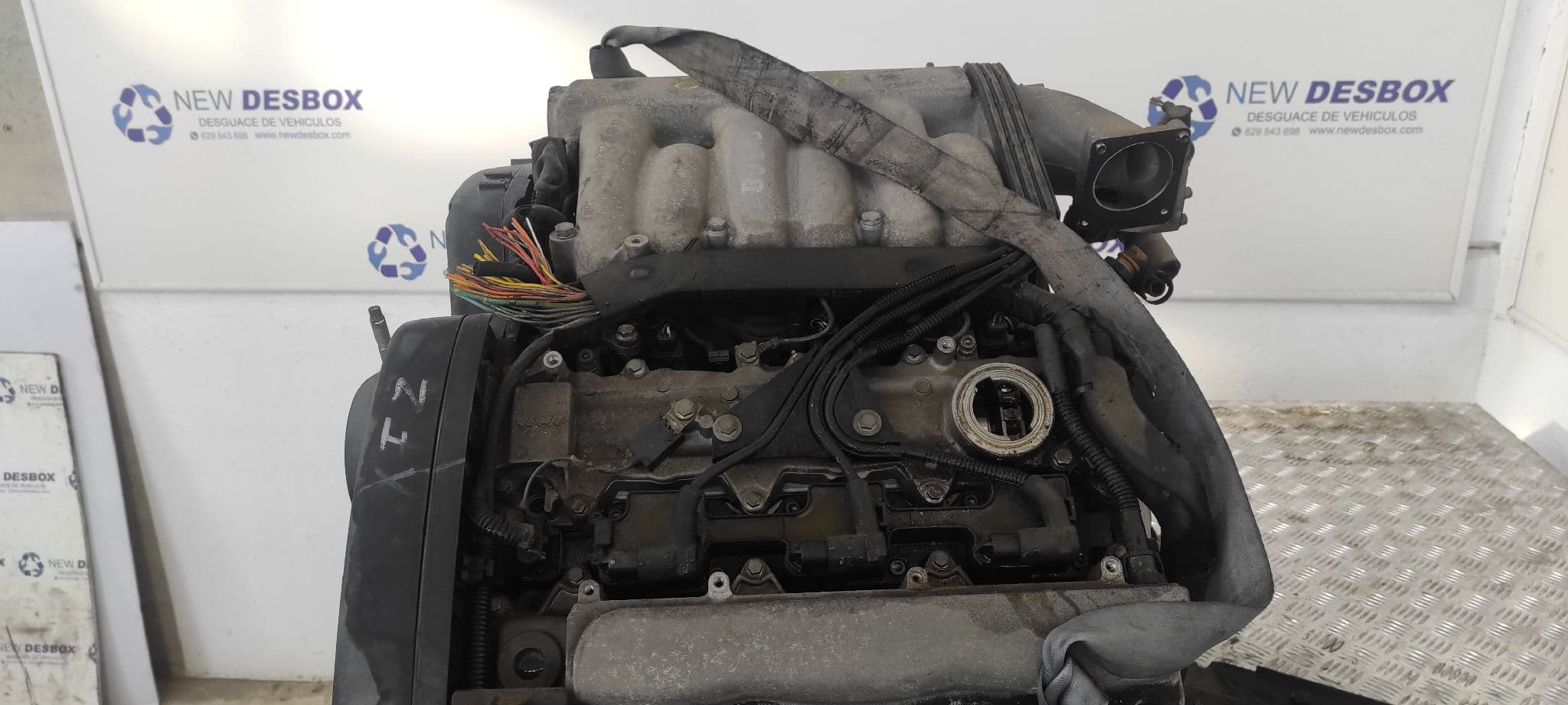 Recambio de MOTOR para PEUGEOT 406 COUPE (S1/S2) 3.0 V6 24V CAT XFZ        referencia OEM IAM XFZ          - AMARILLO 2