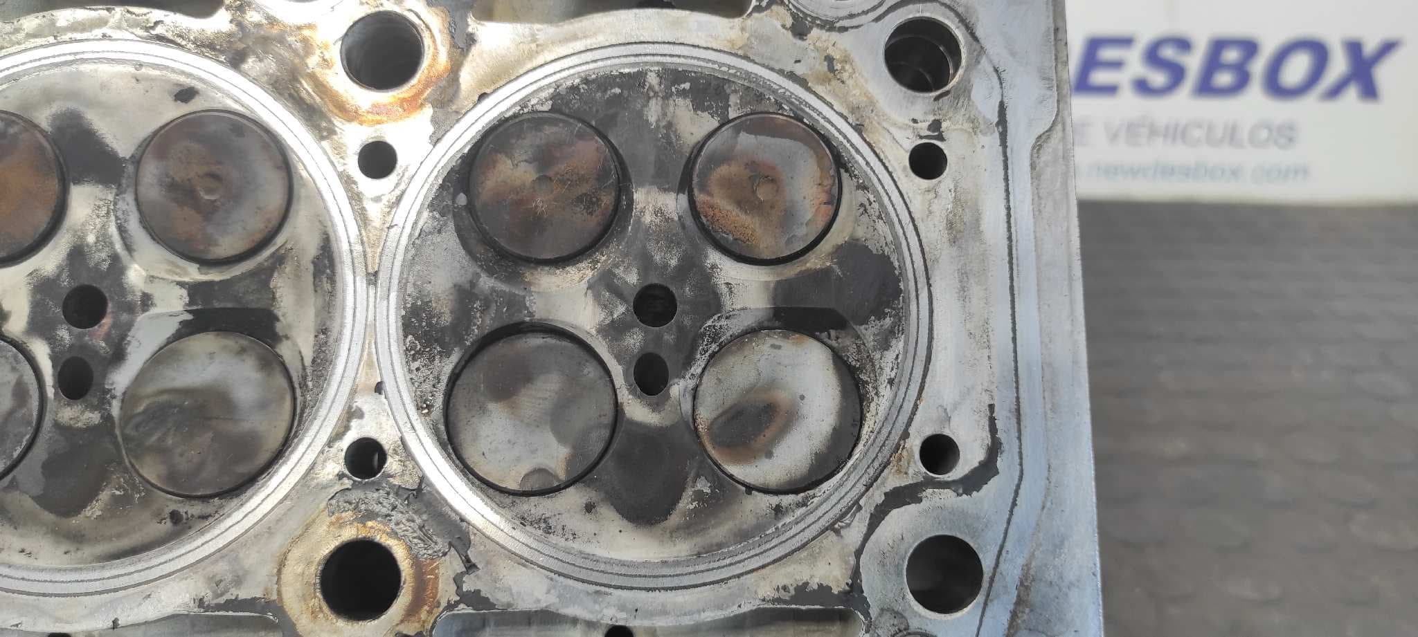 Recambio de CULATA para MERCEDES-BENZ CLASE G (W463) OM628962 referencia OEM IAM R6280160801 11