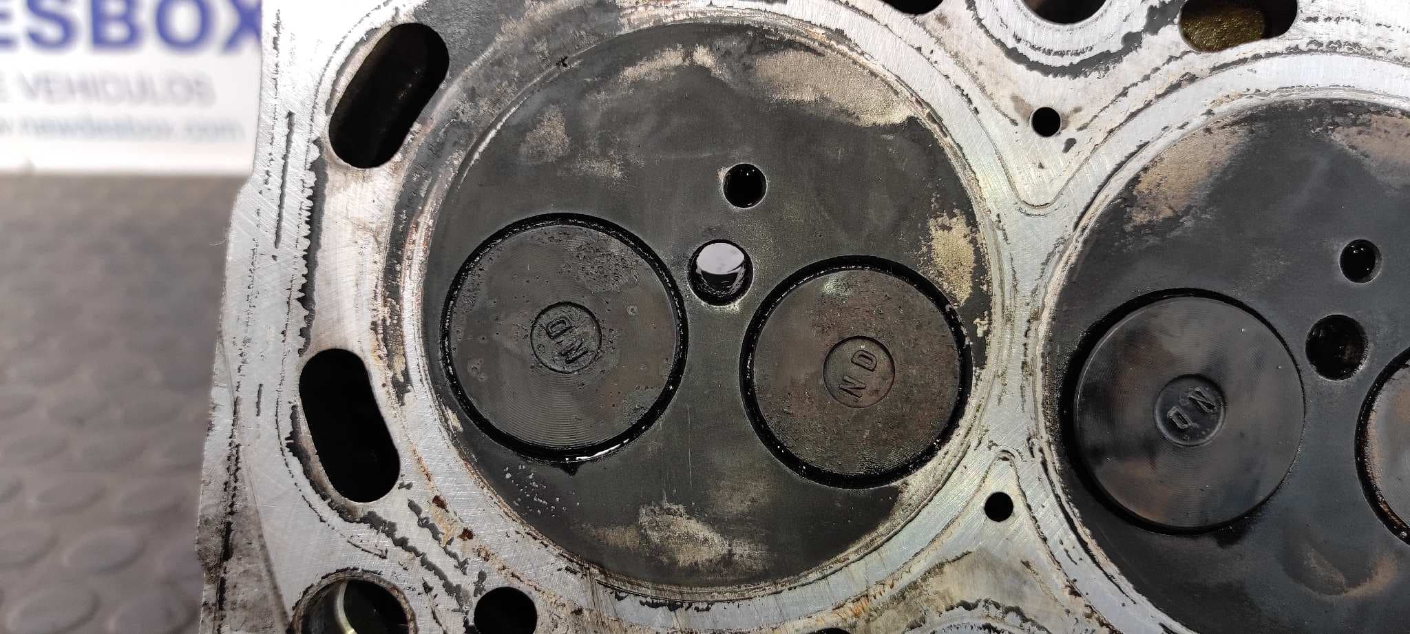 Recambio de CULATA para TOYOTA COROLLA (E12) 1NDTV referencia OEM IAM 1NDTV   - AZUL 6