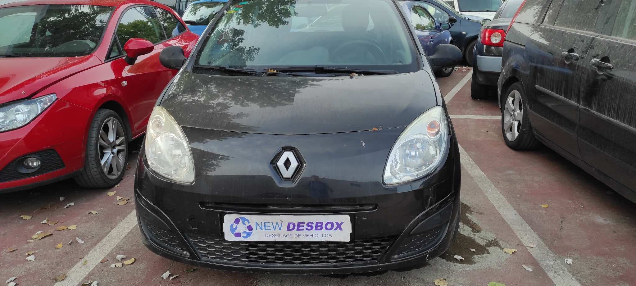 Recambio de PORTON TRASERO para RENAULT TWINGO Societe D7F referencia OEM IAM 901002269R  - NEGRO