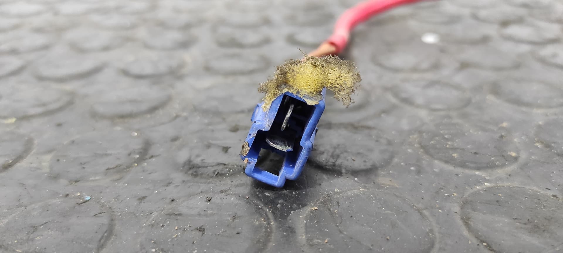 Recambio de CERRADURA PUERTA DELANTERA DERECHA para TATA GRAND SAFARI DICOR07 referencia OEM IAM    - AZUL 6