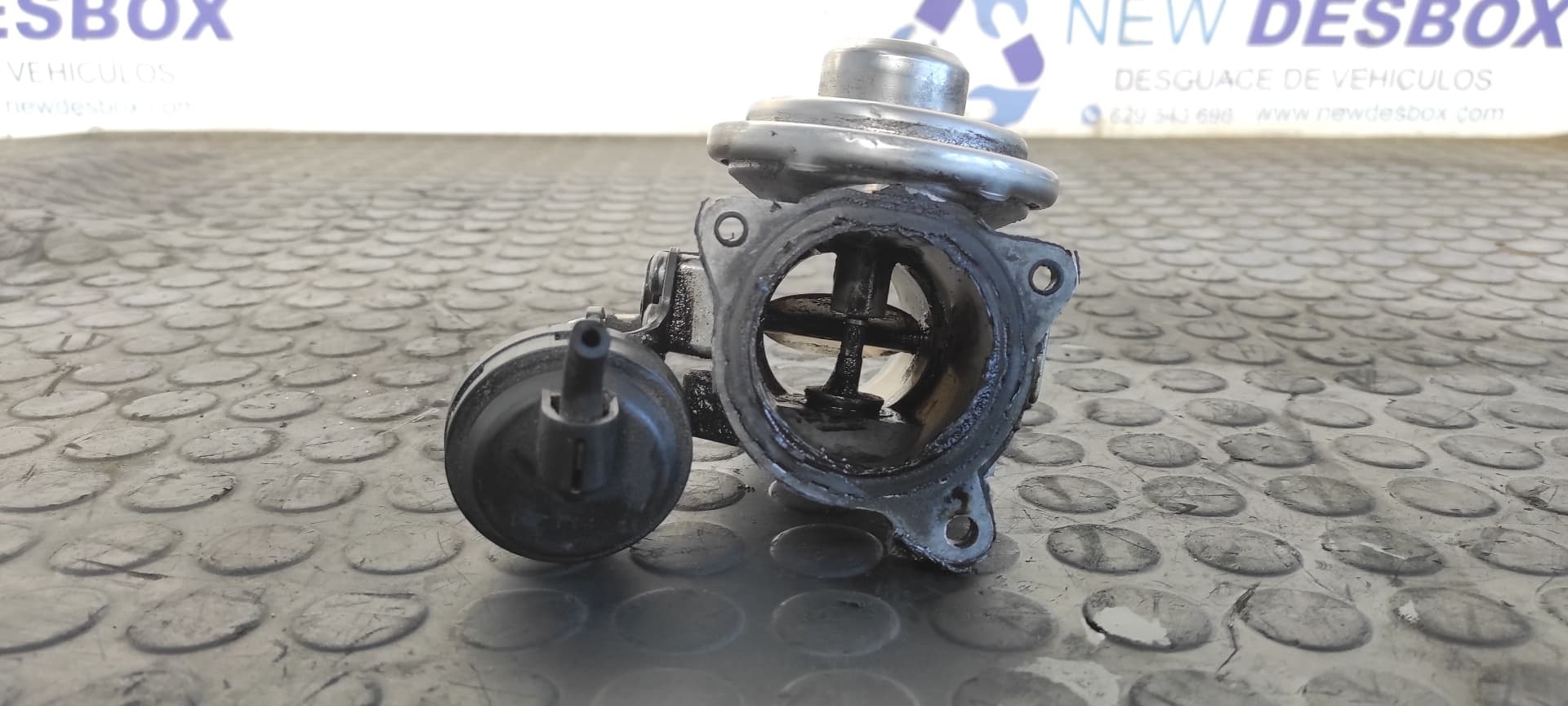 Recambio de VALVULA EGR para VOLKSWAGEN PASSAT BERLINA (3B3) 1.9 TDI AVB referencia OEM IAM 038131501D   - VERDE 5