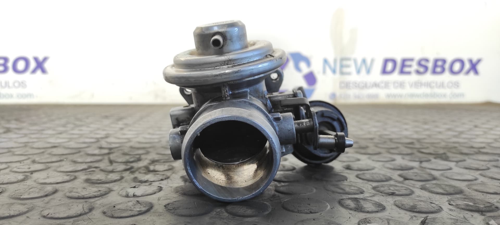 Recambio de VALVULA EGR para VOLKSWAGEN PASSAT BERLINA (3B3) 1.9 TDI AVB referencia OEM IAM 038131501D   - VERDE 2