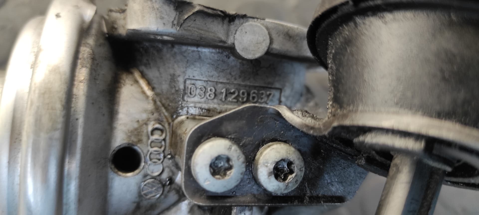 Recambio de VALVULA EGR para VOLKSWAGEN PASSAT BERLINA (3B3) 1.9 TDI AVB referencia OEM IAM 038131501D   - VERDE 8
