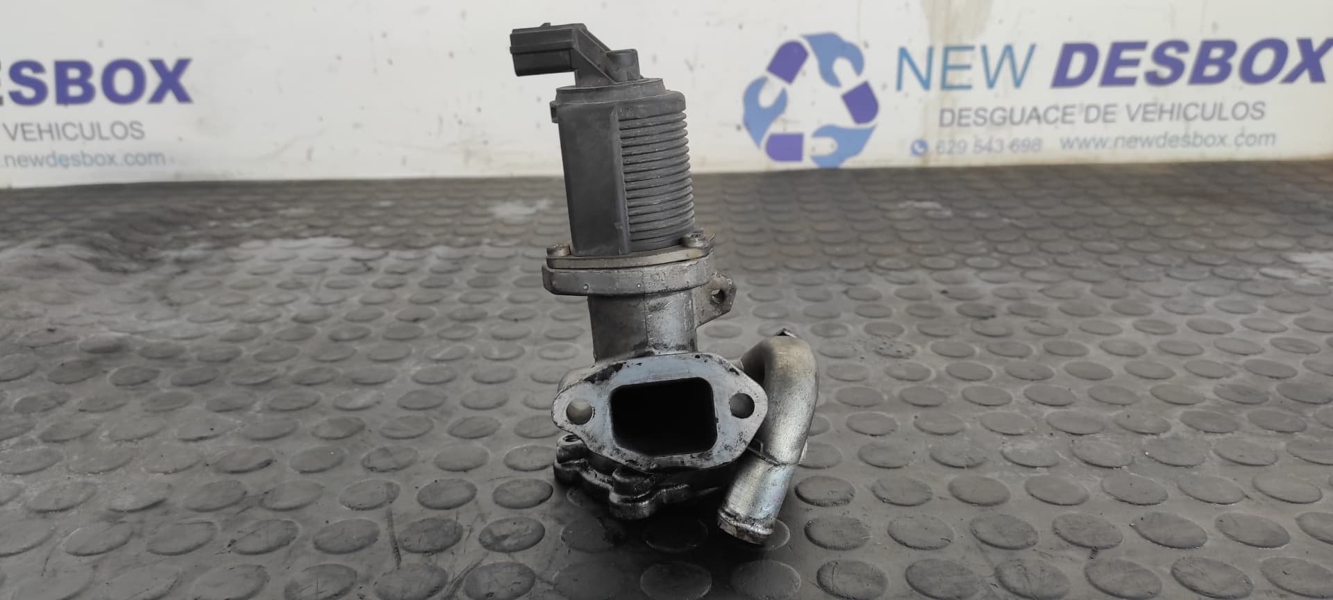 Recambio de VALVULA EGR para FIAT GRANDE PUNTO (199) 1.3 16V JTD CAT 199A3000 referencia OEM IAM 55204941   - NEGRO 4