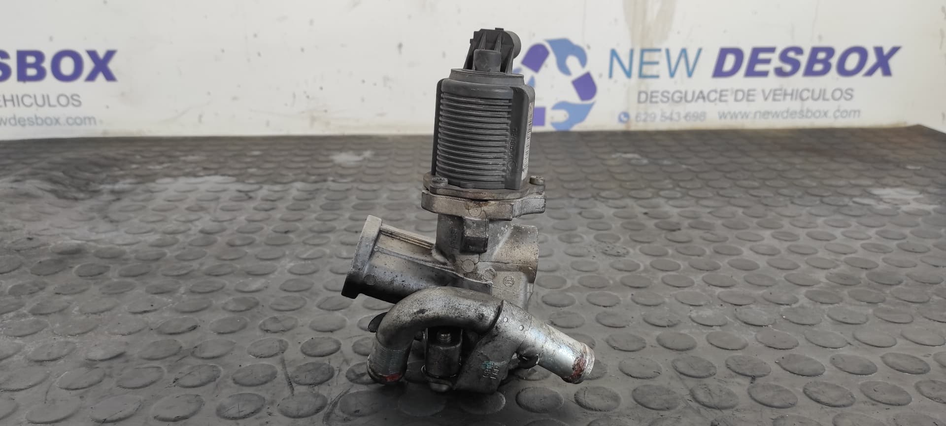 Recambio de VALVULA EGR para FIAT GRANDE PUNTO (199) 1.3 16V JTD CAT 199A3000 referencia OEM IAM 55204941   - NEGRO 3