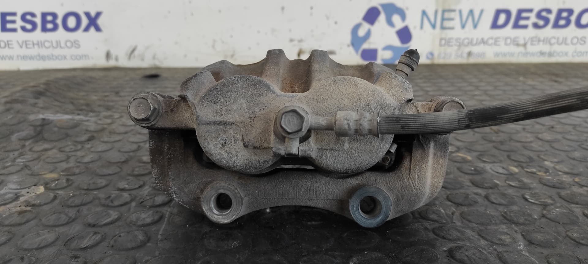 Recambio de PINZA DE FRENO DELANTERA DERECHA para NISSAN X-TRAIL (T30) 2.0 16V CAT QR20DE referencia OEM IAM 23C 4504    - CHAMPAGNE 6