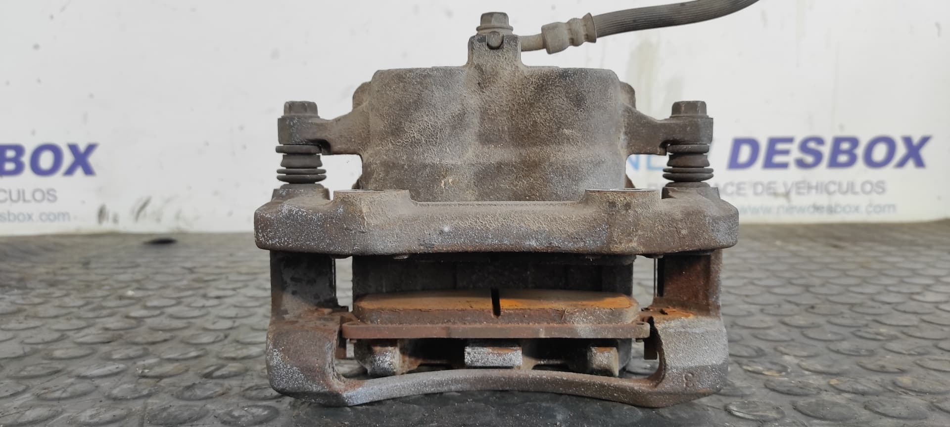Recambio de PINZA DE FRENO DELANTERA DERECHA para NISSAN X-TRAIL (T30) 2.0 16V CAT QR20DE referencia OEM IAM 23C 4504    - CHAMPAGNE 3