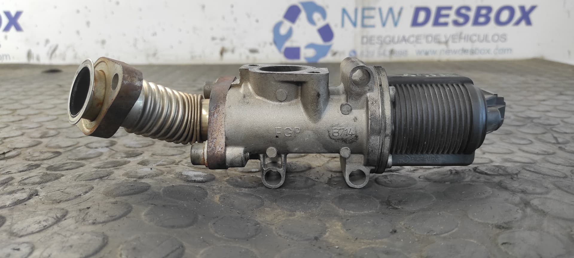 Recambio de VALVULA EGR para FIAT STRADA (278) 1.9 JTD 188A2000 referencia OEM IAM 55182488   - BLANCO 3