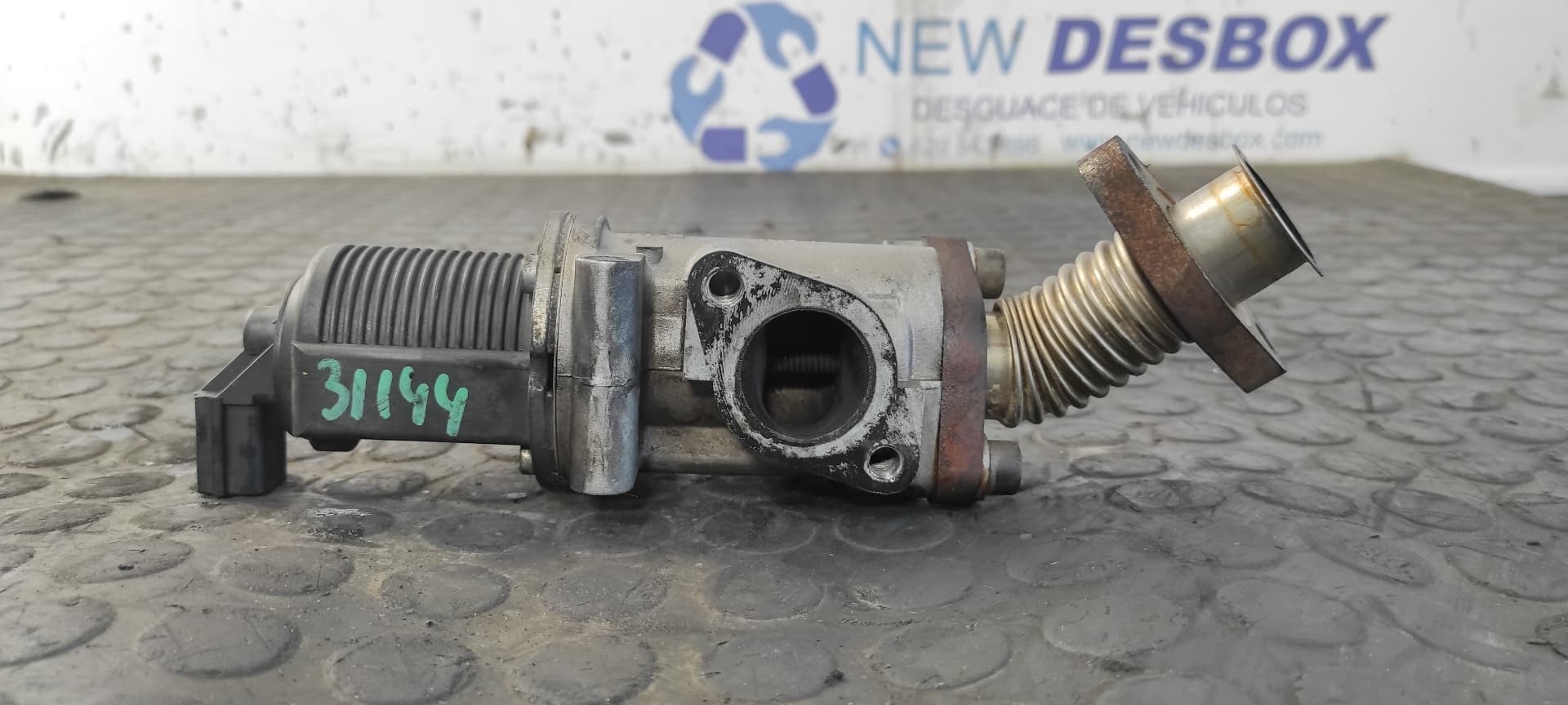 Recambio de VALVULA EGR para FIAT STRADA (278) 1.9 JTD 188A2000 referencia OEM IAM 55182488   - BLANCO 7