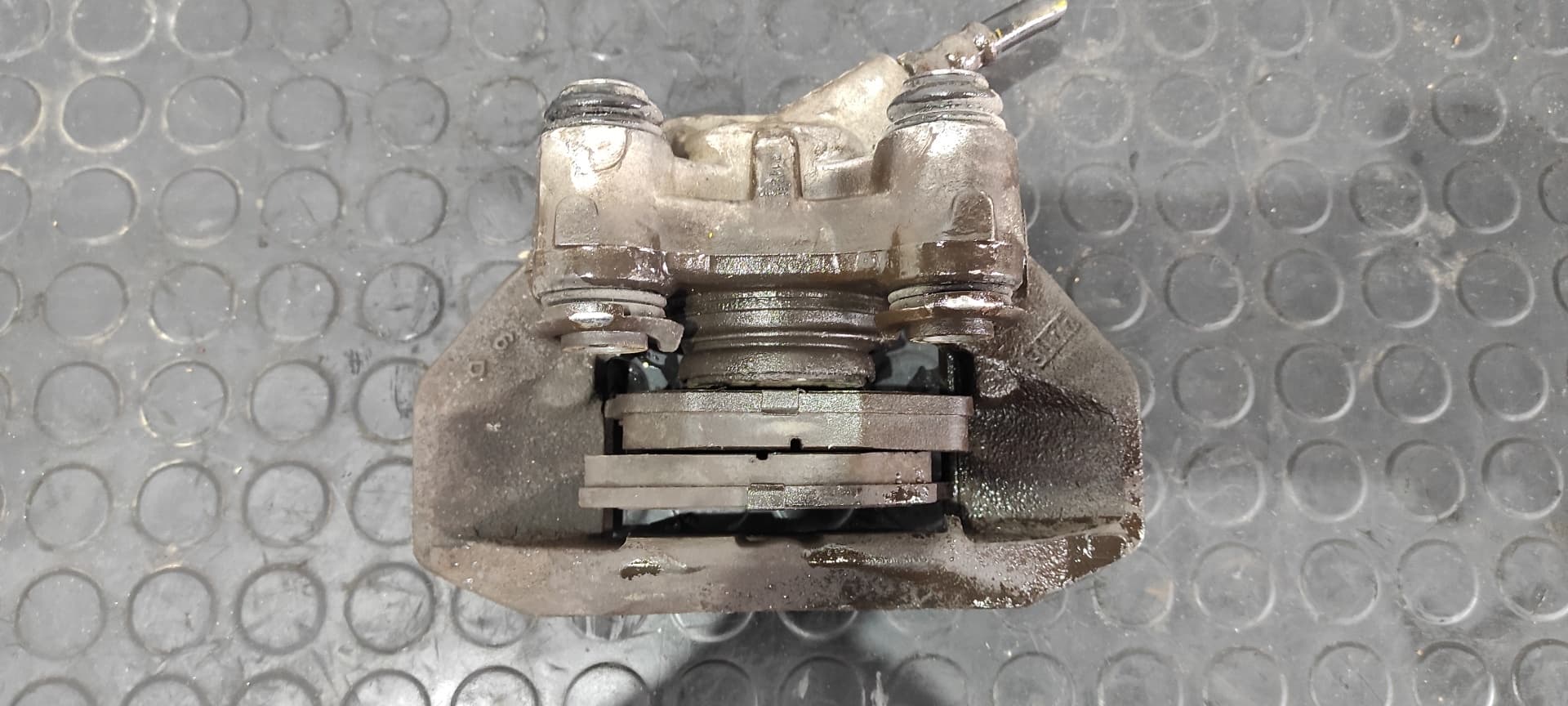 Recambio de PINZA DE FRENO DELANTERA DERECHA para CITROEN SAXO 1.5 D Image VJZ referencia OEM IAM 339876   - BLANCO 3