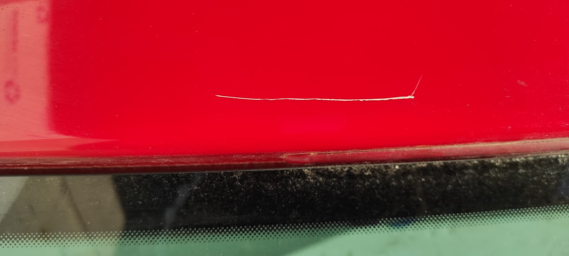 Recambio de PORTON TRASERO para SEAT IBIZA (6J5) BXW referencia OEM IAM    - ROJO 5