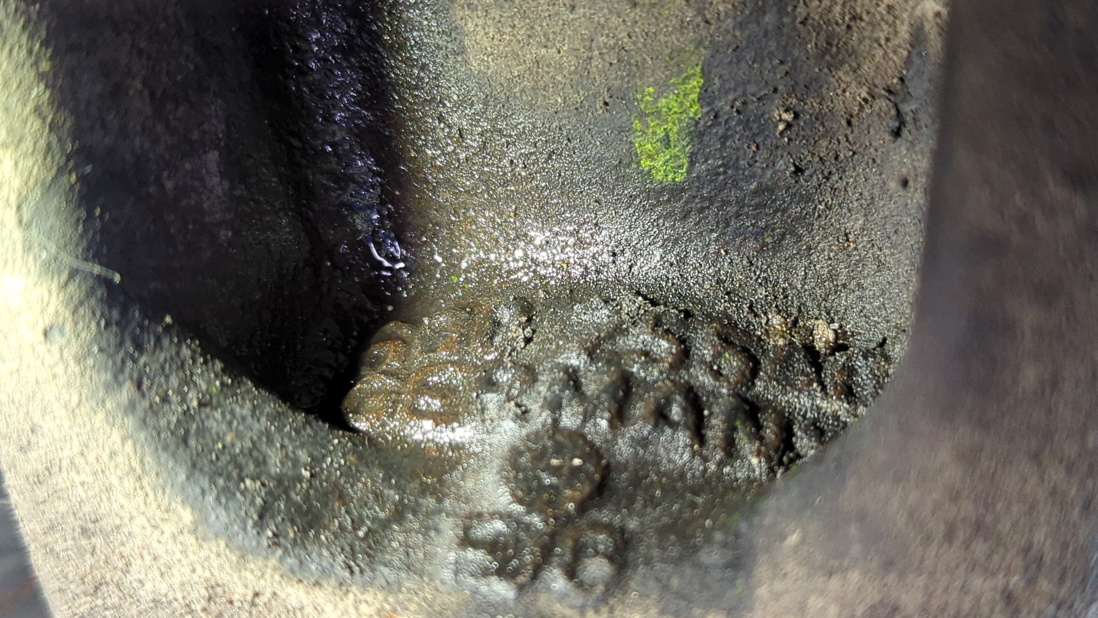 Recambio de MANGUETA DELANTERA IZQUIERDA para SKODA FABIA (6Y2/6Y3) Urban Line AMF referencia OEM IAM 6Q0255AC   - VERDE 4