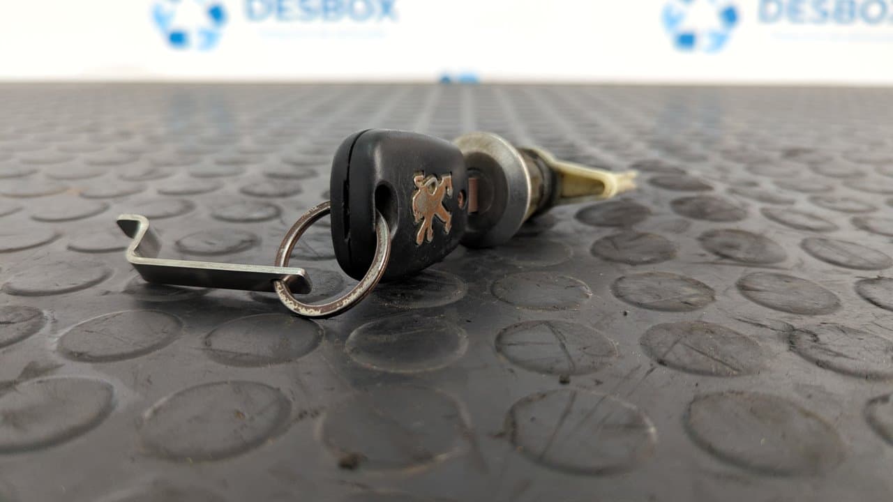 Recambio de BOMBIN PUERTA DELANTERA IZQUIERDA para PEUGEOT 206 BERLINA E-Music KFW - GRIS