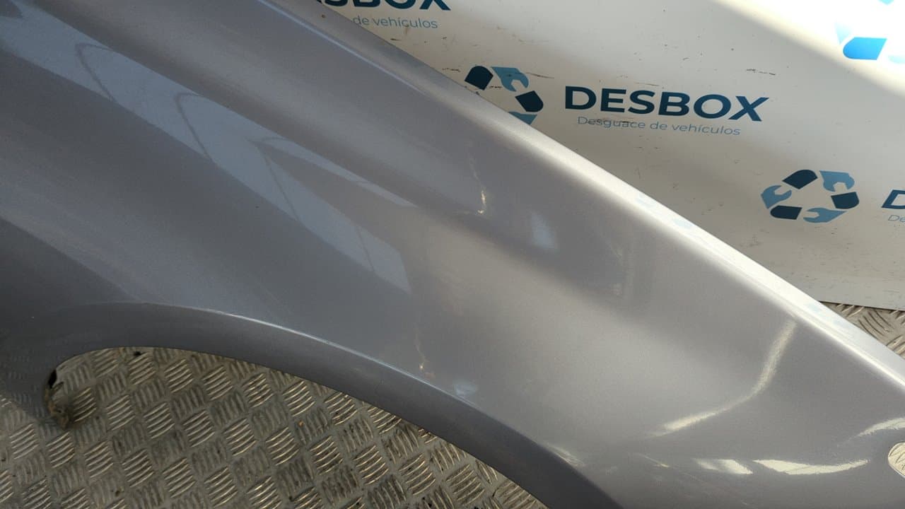 Recambio de ALETA DELANTERA DERECHA para RENAULT LAGUNA III Authentique M9RG7 referencia OEM IAM     - NEGRO 4