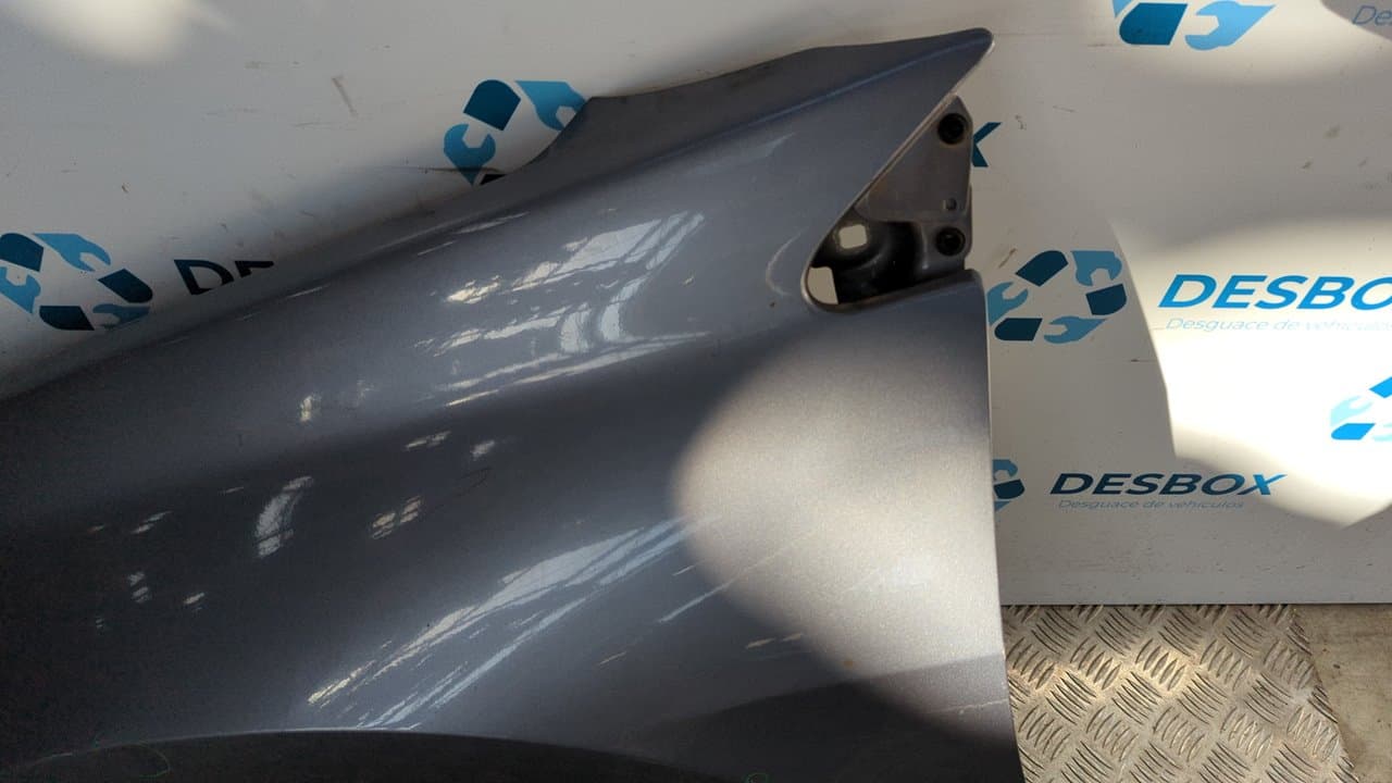 Recambio de ALETA DELANTERA IZQUIERDA para RENAULT LAGUNA III Authentique M9RG7 referencia OEM IAM     - NEGRO 6