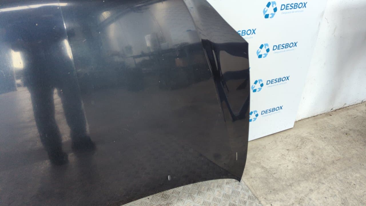 Recambio de CAPO para TOYOTA LEXUS RX 1MZ-FE referencia OEM IAM    - VERDE OSCURO 5