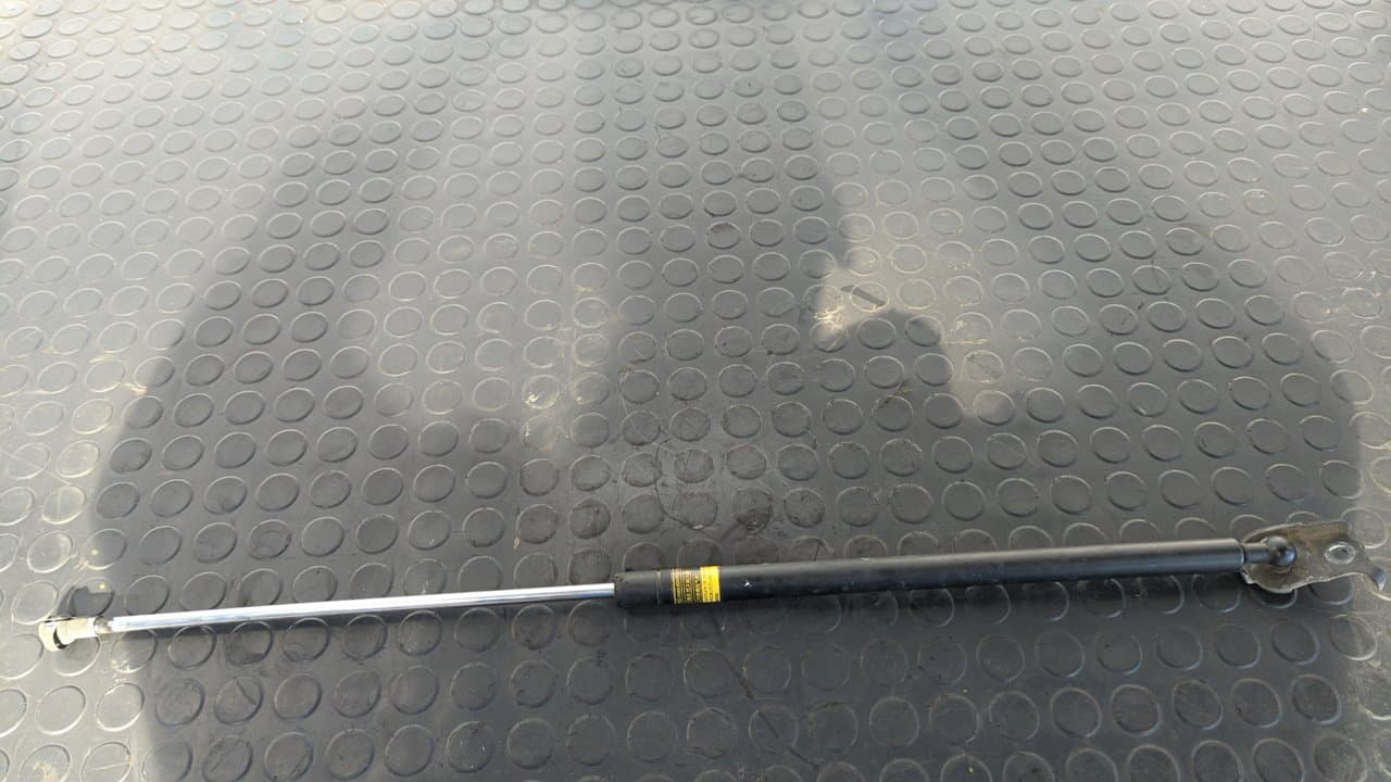 Recambio de AMORTIGUADORES CAPO para TOYOTA LEXUS RX 400h 1MZ-FE referencia OEM IAM 6ZE7TJL3   - VERDE OSCURO