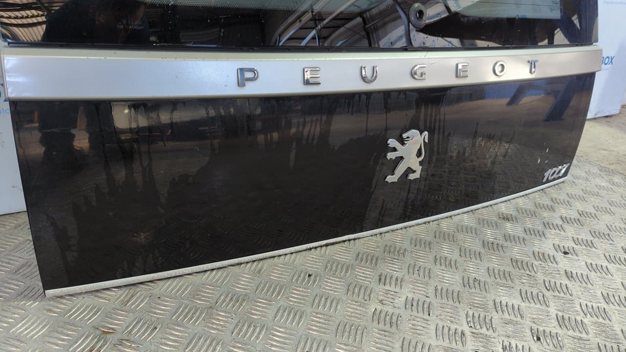 Recambio de PORTON TRASERO para PEUGEOT 1007 Dolce NFU referencia OEM IAM   - GRIS 7