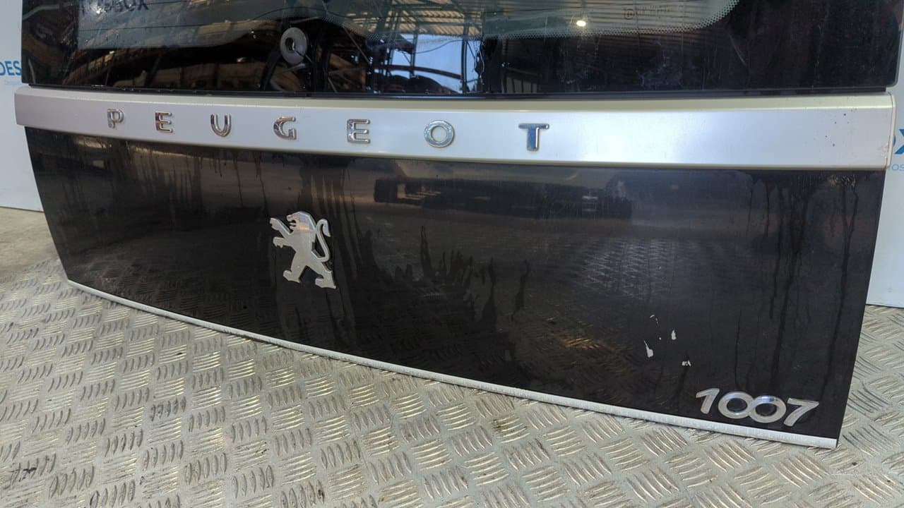 Recambio de PORTON TRASERO para PEUGEOT 1007 Dolce NFU referencia OEM IAM   - GRIS 6