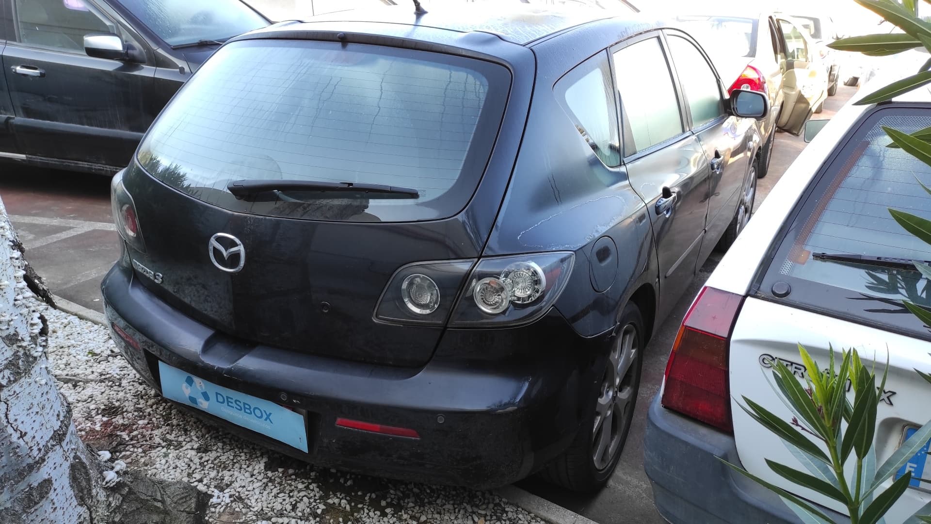Recambio de ELEVALUNAS TRASERO DERECHO para MAZDA 3 BERLINA (BK) Y6 - NEGRO 5
