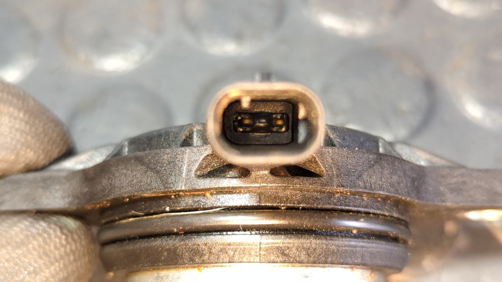 Recambio de SENSOR ANGULO GIRO ARBOL DE LEVAS para VOLKSWAGEN POLO VI (AE1) * DLAC referencia OEM IAM 05C906423E - BLANCO 2