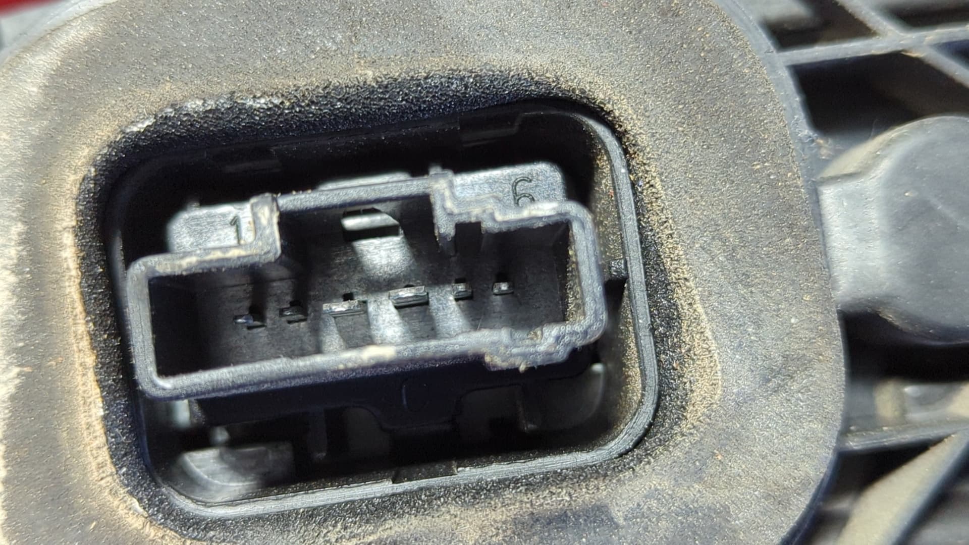 Recambio de PILOTO TRASERO DERECHO para CITROEN C3 1.1 referencia OEM IAM 2556 3