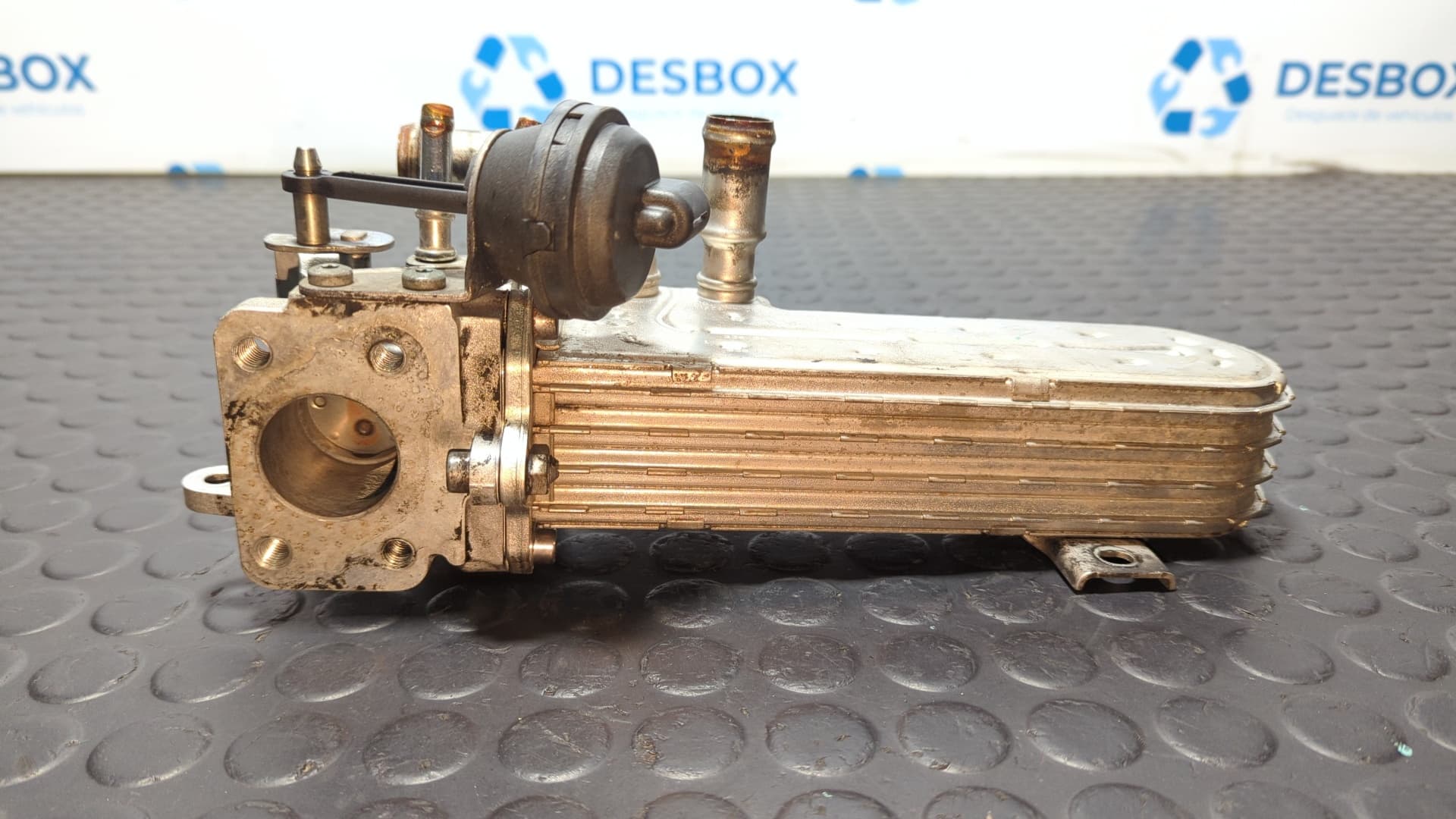 Recambio de ENFRIADOR EGR para AUDI A4 BERLINA (8E) 2.0 TDI BRE referencia OEM IAM 03G131513J - AZUL 2