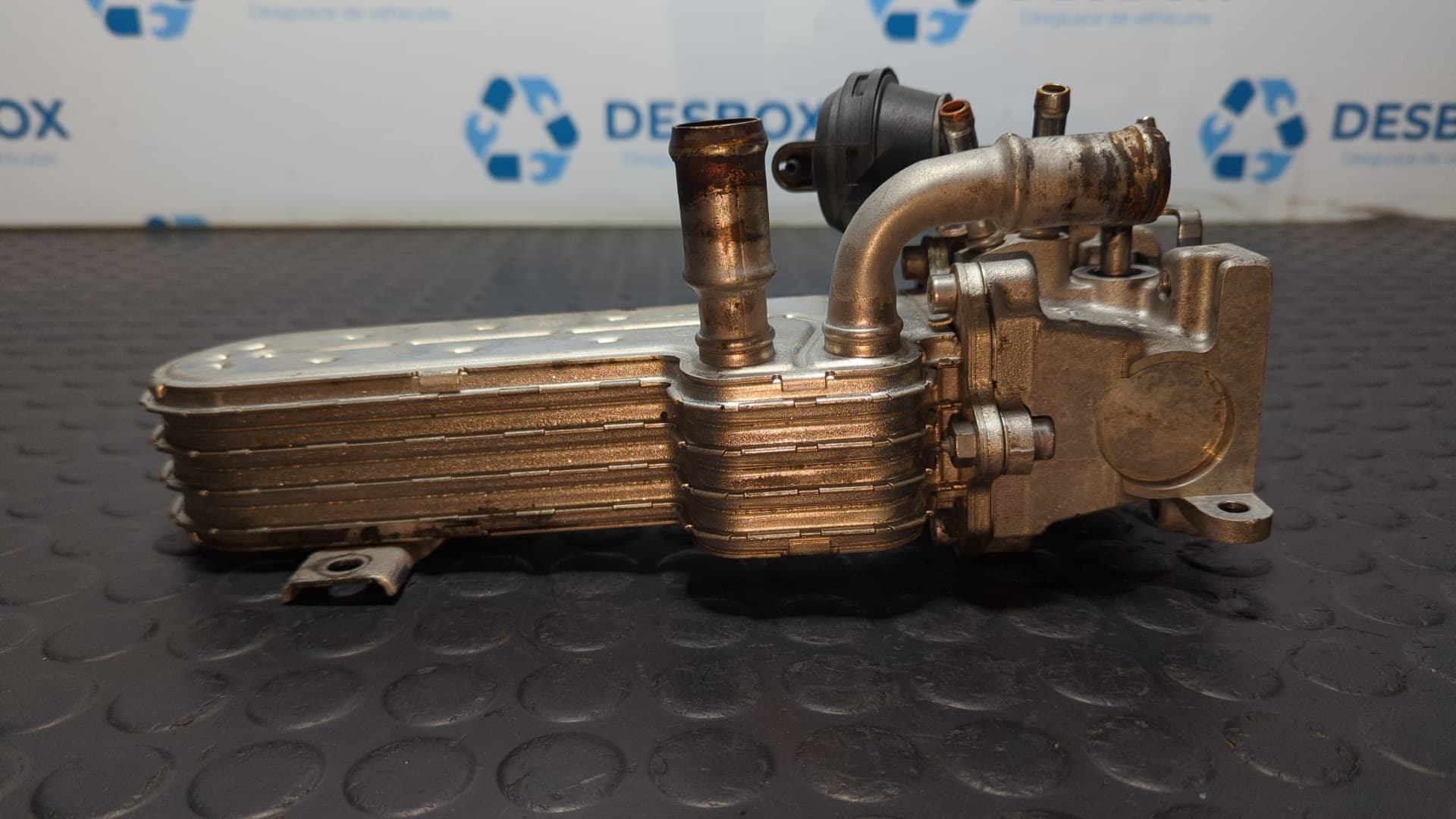 Recambio de ENFRIADOR EGR para AUDI A4 BERLINA (8E) 2.0 TDI BRE referencia OEM IAM 03G131513J - AZUL 4