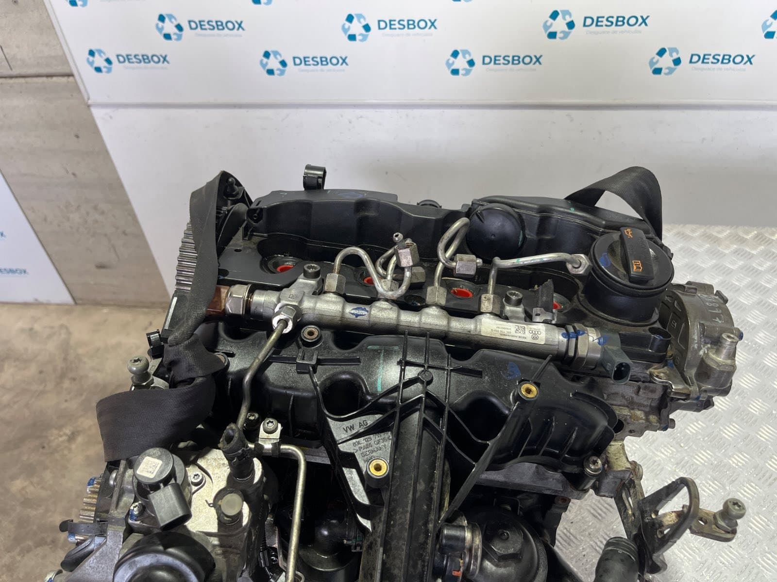 Recambio de MOTOR para AUDI Q5 (8R) Q5 2.0 TDI CGL referencia OEM IAM CGL - NEGRO 3