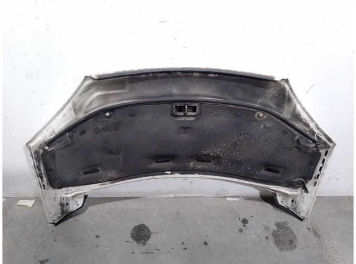 Recambio de capot para ford galaxy i (wgr) 1.9 tdi referencia OEM IAM 1316291 2