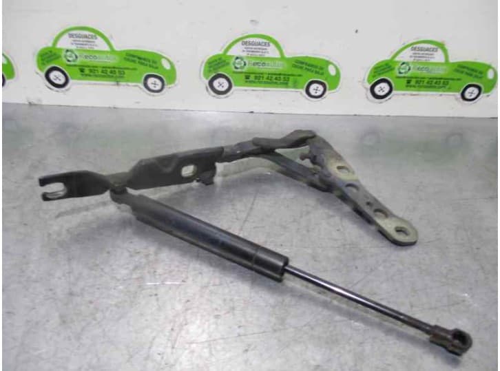 Recambio de amortiguadores capo para bmw 3 (e46) 320 d referencia OEM IAM 2