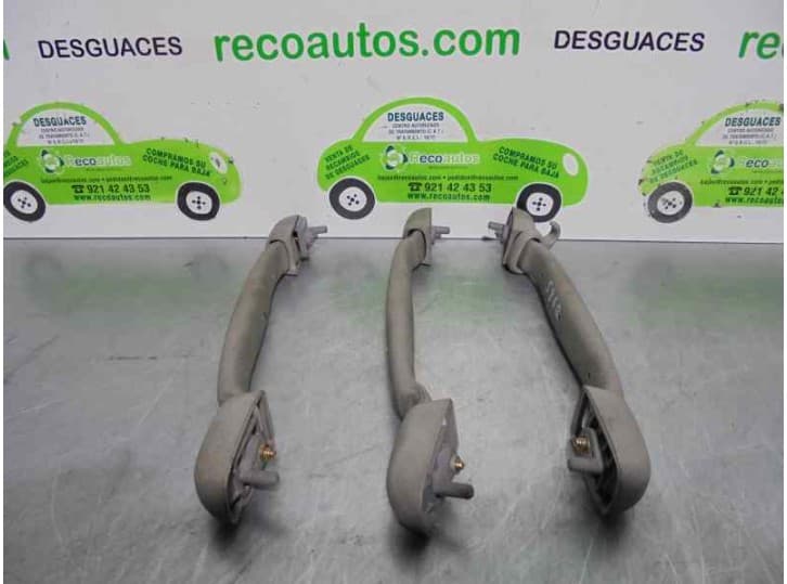 Recambio de agarrador para nissan x-trail i (t30) 2.0 referencia OEM IAM 2