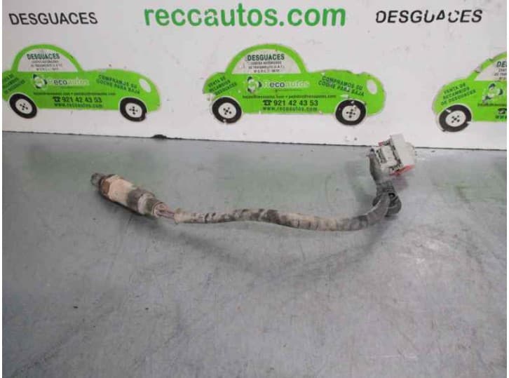 Recambio de sonda lambda para peugeot 406 (8b) 1.8 16v referencia OEM IAM  AFS91