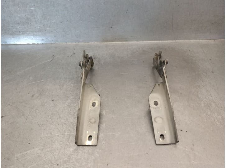Recambio de bisagra capot para citroën zx (n2) 1.6 i referencia OEM IAM 96141248 96141248 4