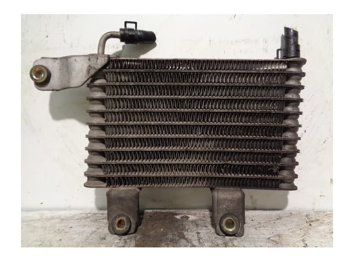Recambio de intercooler para hyundai xg sedán 300 referencia OEM IAM 254602E100