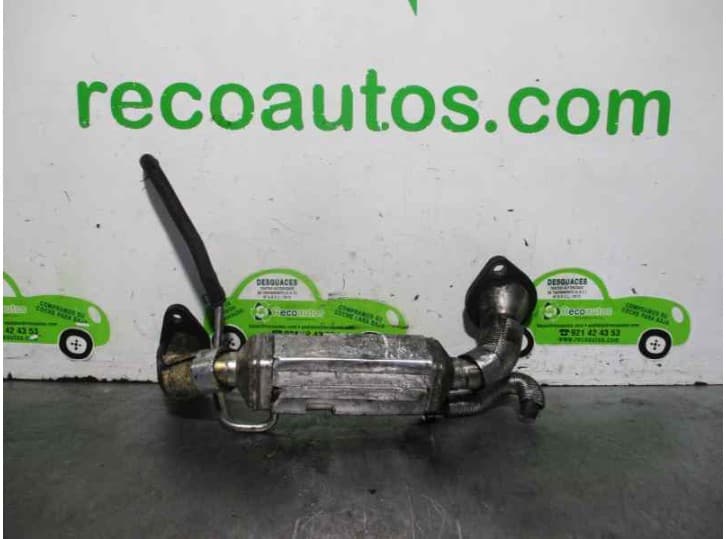 Recambio de valvula egr para seat ibiza iii (6l1) 1.9 tdi referencia OEM IAM 038131501AF