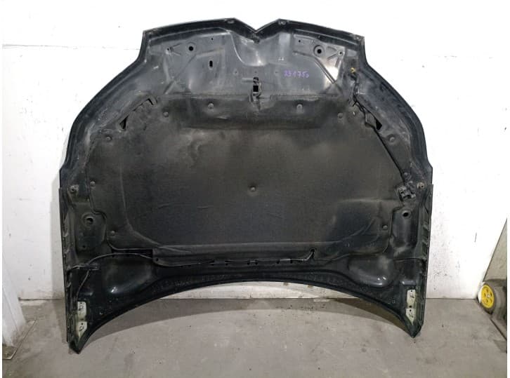 Recambio de capot para citroën c5 iii (rd_) 2.0 hdi (rdrhda) referencia OEM IAM 7901P3 7901P3 2