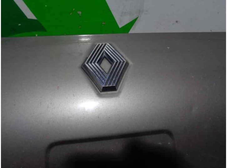 Recambio de capot para renault 19 i (b/c53_) 1.4 referencia OEM IAM  GRIS 2